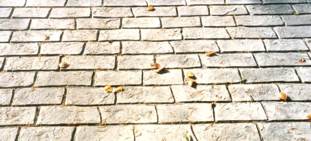 Pattern imprinted concrete by PICS with leaf accents.