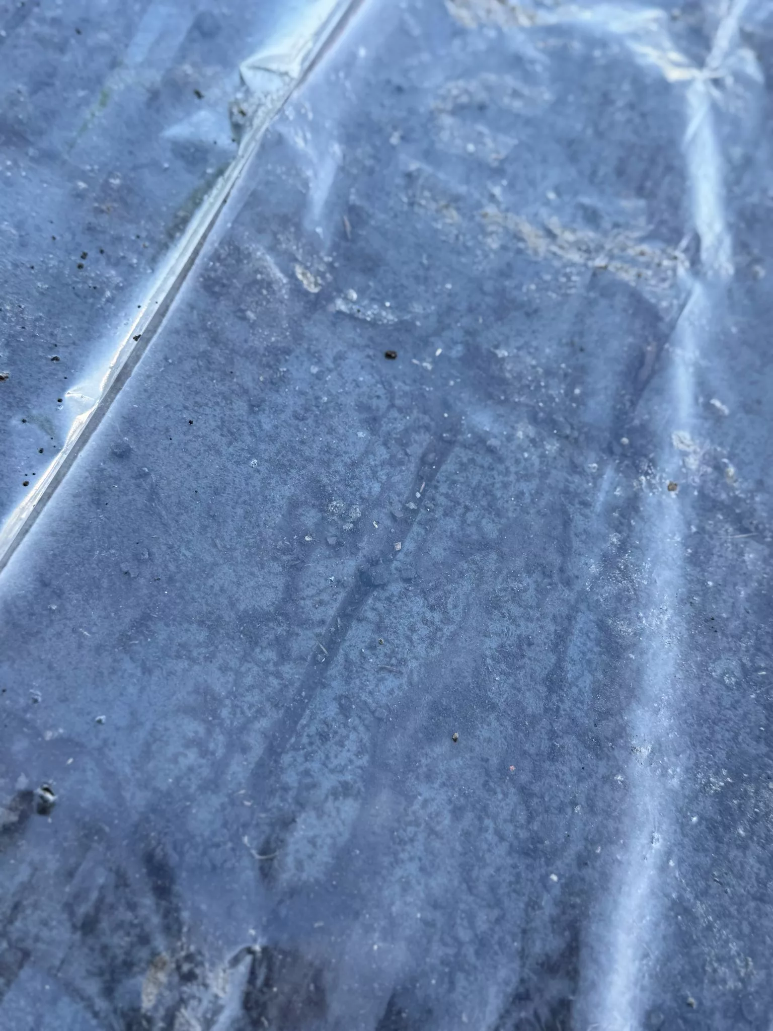 Pattern imprinted concrete surface by PICS, showcasing durable design and texture details.